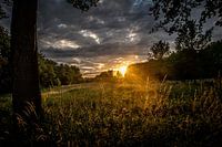 Zonsondergang over het veld