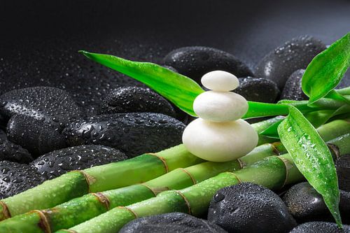 Stone tower on bamboo