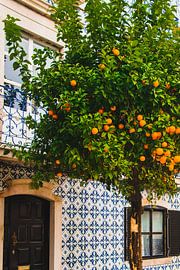 Puur Portugal by Justin Travel