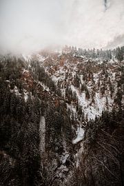 Alpsee | Winter in the Alps by Nanda van der Eijk