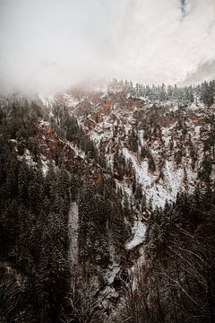 Alpsee | Winter in de Alpen van Nanda van der Eijk