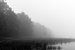 Vanishing Fog von William Mevissen