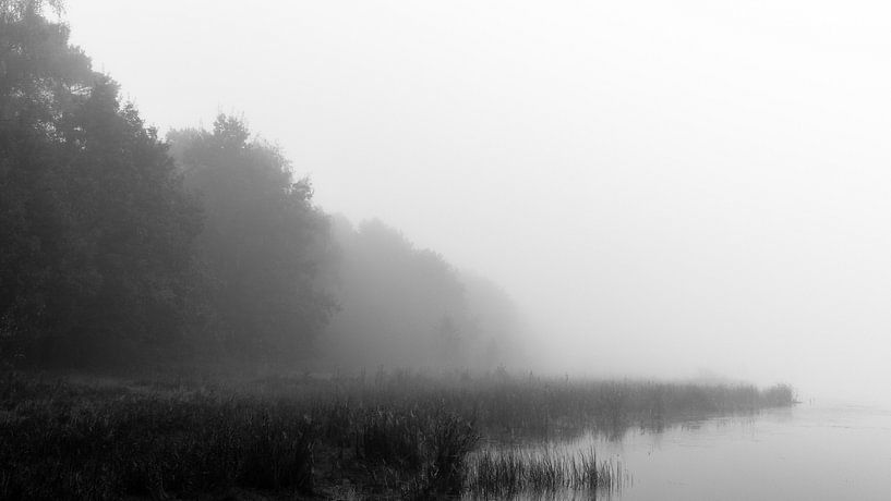 Vanishing Fog van William Mevissen