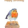 Happy Birthday Rotkehlchen von Karen Kaspar