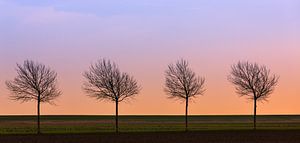 4 in Folge, Breebaartpolder, Groningen, Niederlande