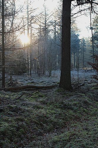 Le premier rayon de soleil