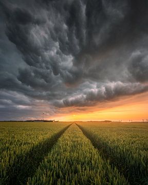 Onweerswolk tijdens zonsondergang | Landschapsfotografie | Akker in Flevoland van Marijn Alons