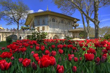 In de vierde binnenplaats van het Topkapi paleis by Stephan Neven