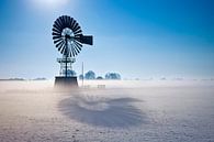 Winterlandschap Nederland van Peter Bolman thumbnail