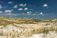 Dune at Anastasia Beach near Saint Augustine in Florida