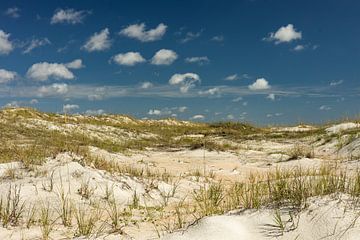 Duin bij Anastasia Beach bij Saint Augustine in Florida van Alexander Ließ