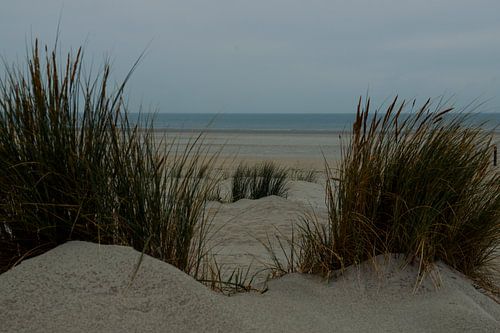 The beach of ameland