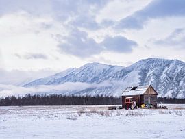 lonely by Joanne de Graaff