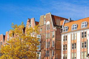Blick auf das Fünfgiebelhaus in der Hansestadt Rostock im Herbs