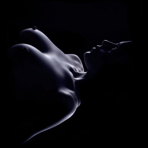 Esthetisch Naaktbeeld