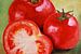 Stillleben mit Tomaten von Andrea Meyer