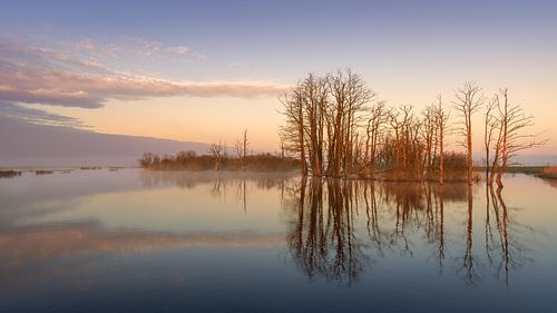 Een ochtend in natuurgebied Tusschenwate Drenthe