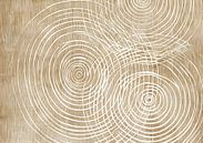 Circles by Modern Collection thumbnail