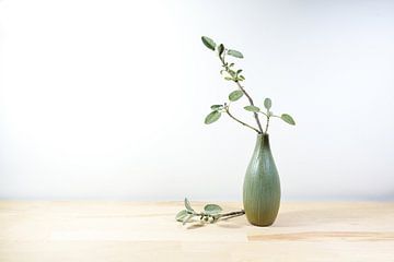 Kleine Vase mit einem Salbeizweig auf einem hellen Holztisch oder Schreibtisch  von Maren Winter