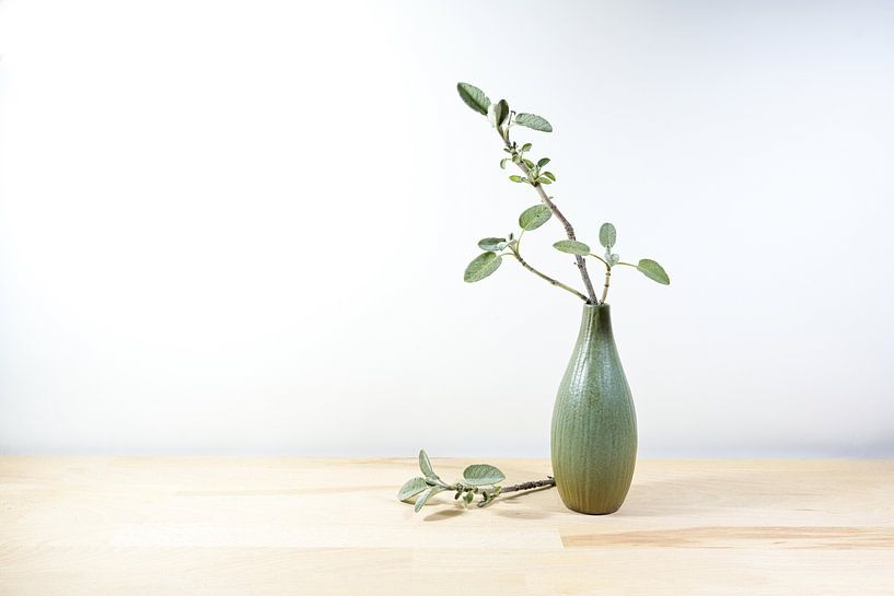Small vase with a sprig of sage on a light wooden table or desk  by Maren Winter