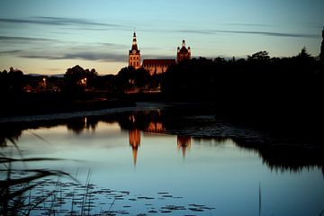 Het Bossche Broek Den Bosch bij zonsondergang met uitzicht op de Sint Jan katedraal