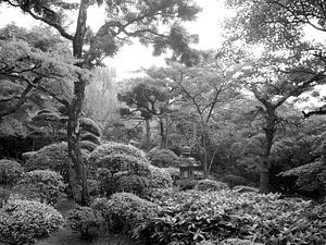 Japanse Zen tuin van Menno Boermans