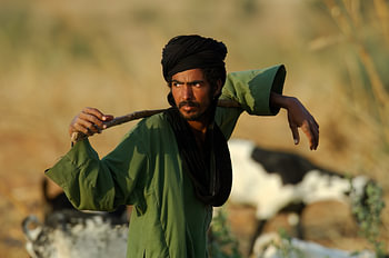 Rinderhirte mit Ziegen auf der Straße in Niger