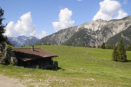 berghut van Danielle Holkamp