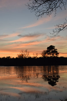 Sonnenuntergang im Naturschutzgebiet „Het Achterveld“