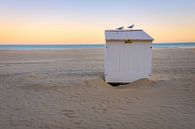 Cabine de plage avec mouettes par Johan Vanbockryck Aperçu