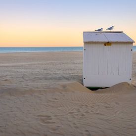 Beach Cabin with Seagulls by Johan Vanbockryck