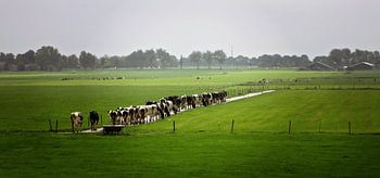 er zijn nog enkele wachtenden voor u
