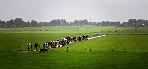 er zijn nog enkele wachtenden voor u