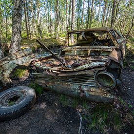 Oldtimer dans le marais 3 sur Aurelie Vandermeren