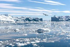 IJsbergen in Groenland von Eddie Smit