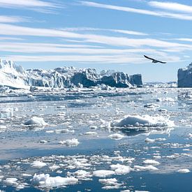 Icebergs in Greenland by Eddie Smit
