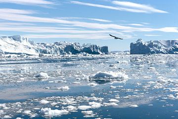 Icebergs in Greenland by Eddie Smit