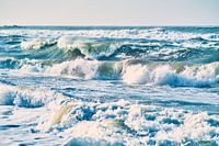 Wilde Noordzee voor Denemarken