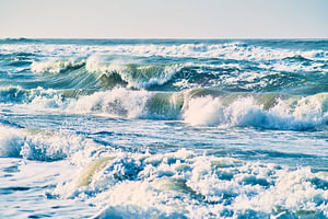 Wilde Nordsee vor Dänemark