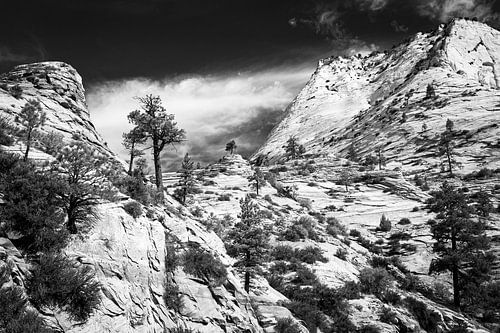 Zion National Park in Black and White