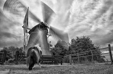 De slowmotion molen van Remco de Vries