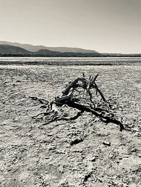 Alikes Salt Lake - Kos Grichenland by Marek Bednarek