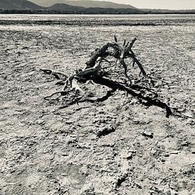 Alikes Salzsee - Kos Griechenland von Marek Bednarek