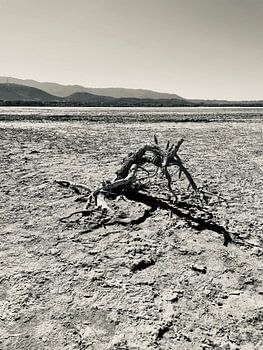 Lac salé d'Alikes - Kos Grichenland