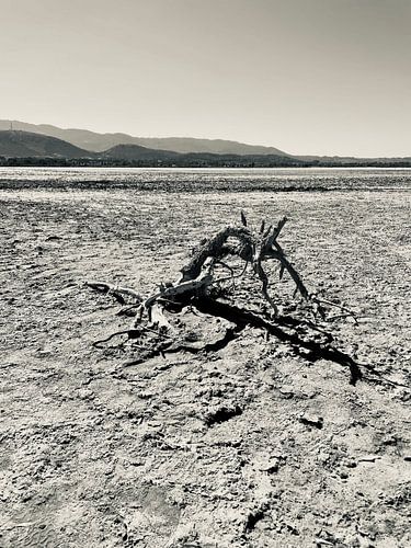 Lac salé d'Alikes - Kos Grichenland