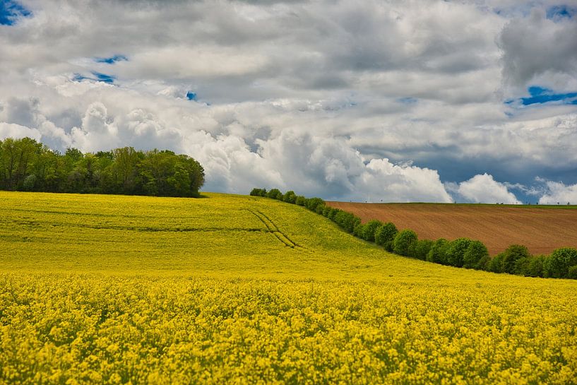 Jeu de couleurs en Bourgogne par Tanja Voigt