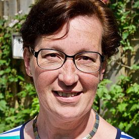 Stip Fotografie Profile picture