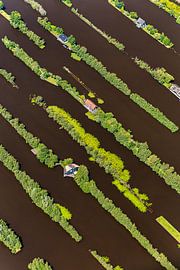 The Netherlands, Breukelen, Dugged out land in marsh. by Frans Lemmens