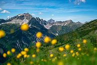 Trollen bloemenweide boven de Tannheim bergen van Leo Schindzielorz thumbnail