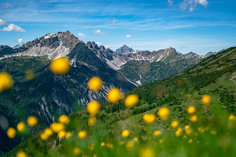 Trollblumenwiese über den Tannheimer Bergen von Leo Schindzielorz